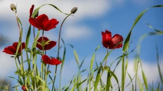 8 Mart Cumartesi Hava Durumu: Bugün Tüm Detaylar Burada!