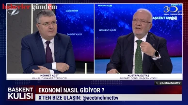 AK Partili Mustafa Elitaş'tan tepki çeken asgari ücret yorumu