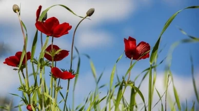 8 Mart Cumartesi Hava Durumu: Bugün Tüm Detaylar Burada!